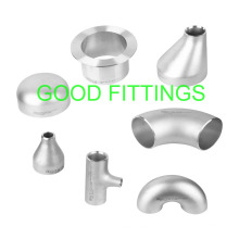 Fittings Stainless Steel Pipe Fitting